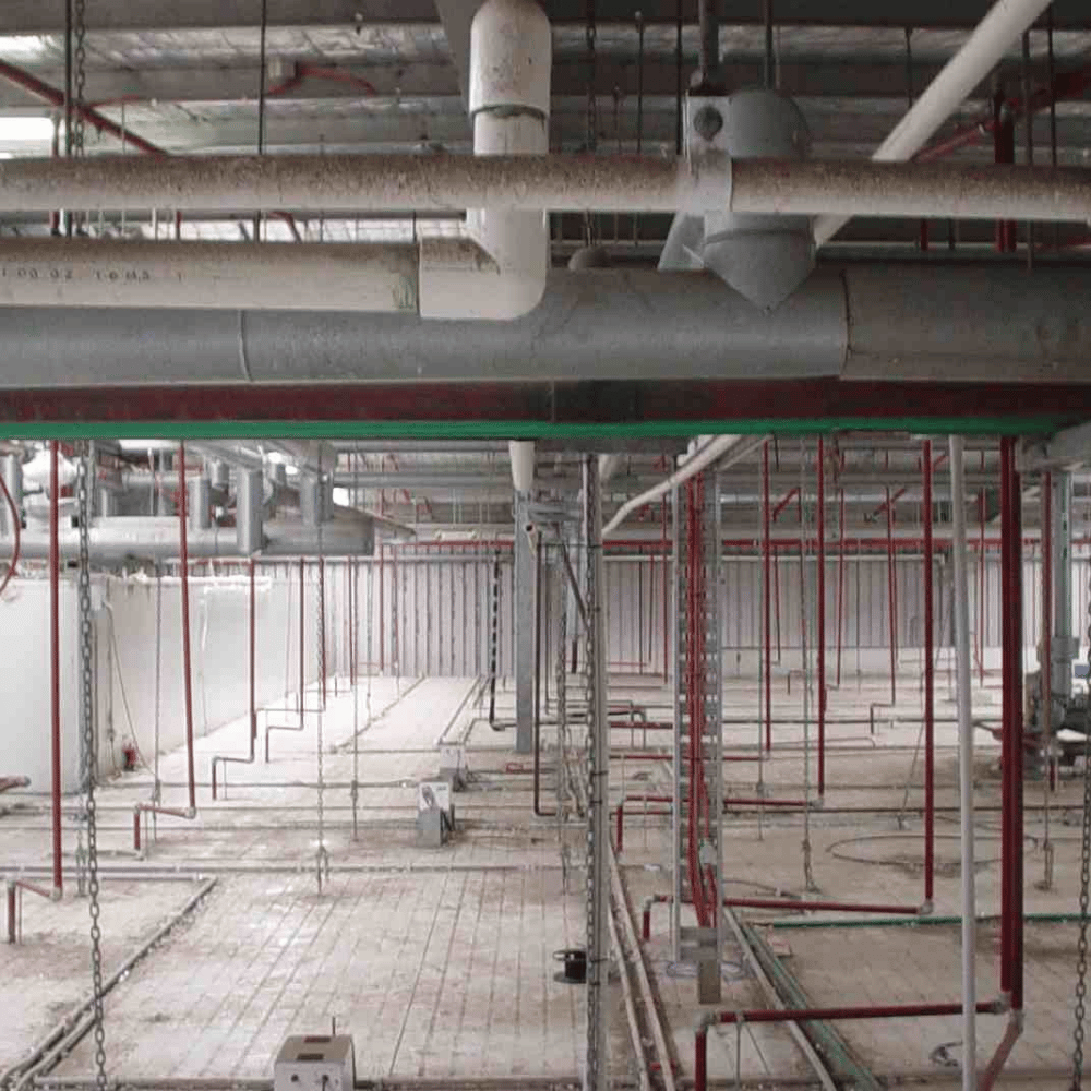 Meatlink Engineering specialist on site in an industrial facility